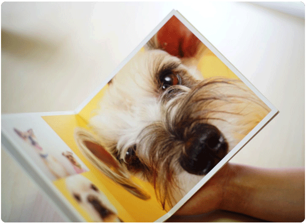 フォトアイテム導入のきっかけと、ご利用アイテムを教えてください。