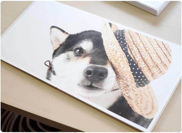 フォトアイテム導入のきっかけと、ご利用アイテムを教えてください。