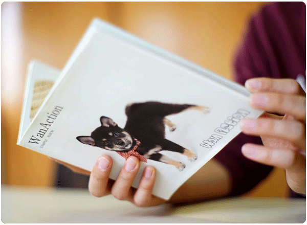 主な撮影ジャンルを教えてください。